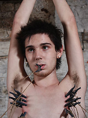 Stud Jonny ordeal continues to suck on the big dick of his captor